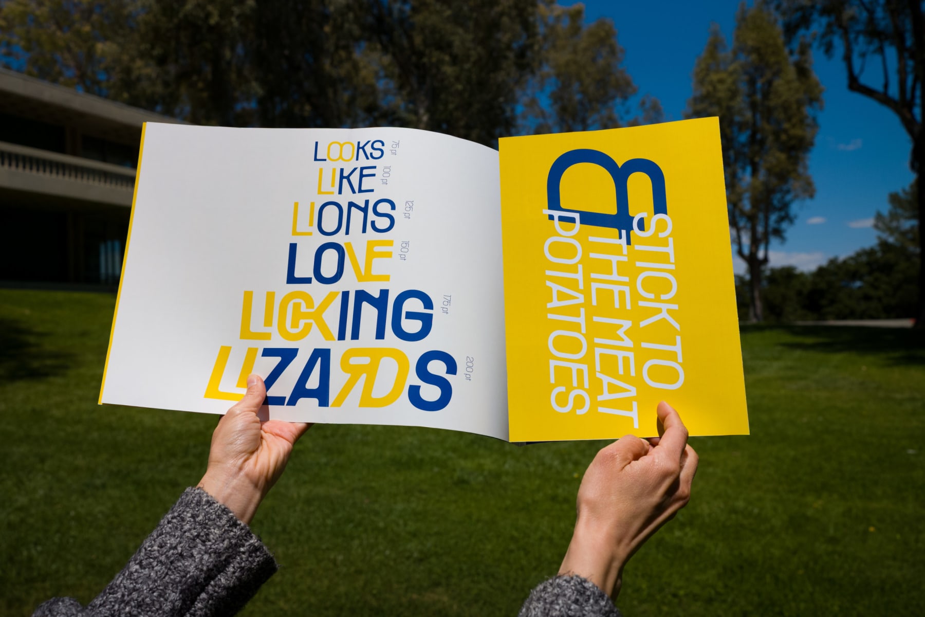 Research, Writing, Showing Off: Contemporary Type Specimen Booklet