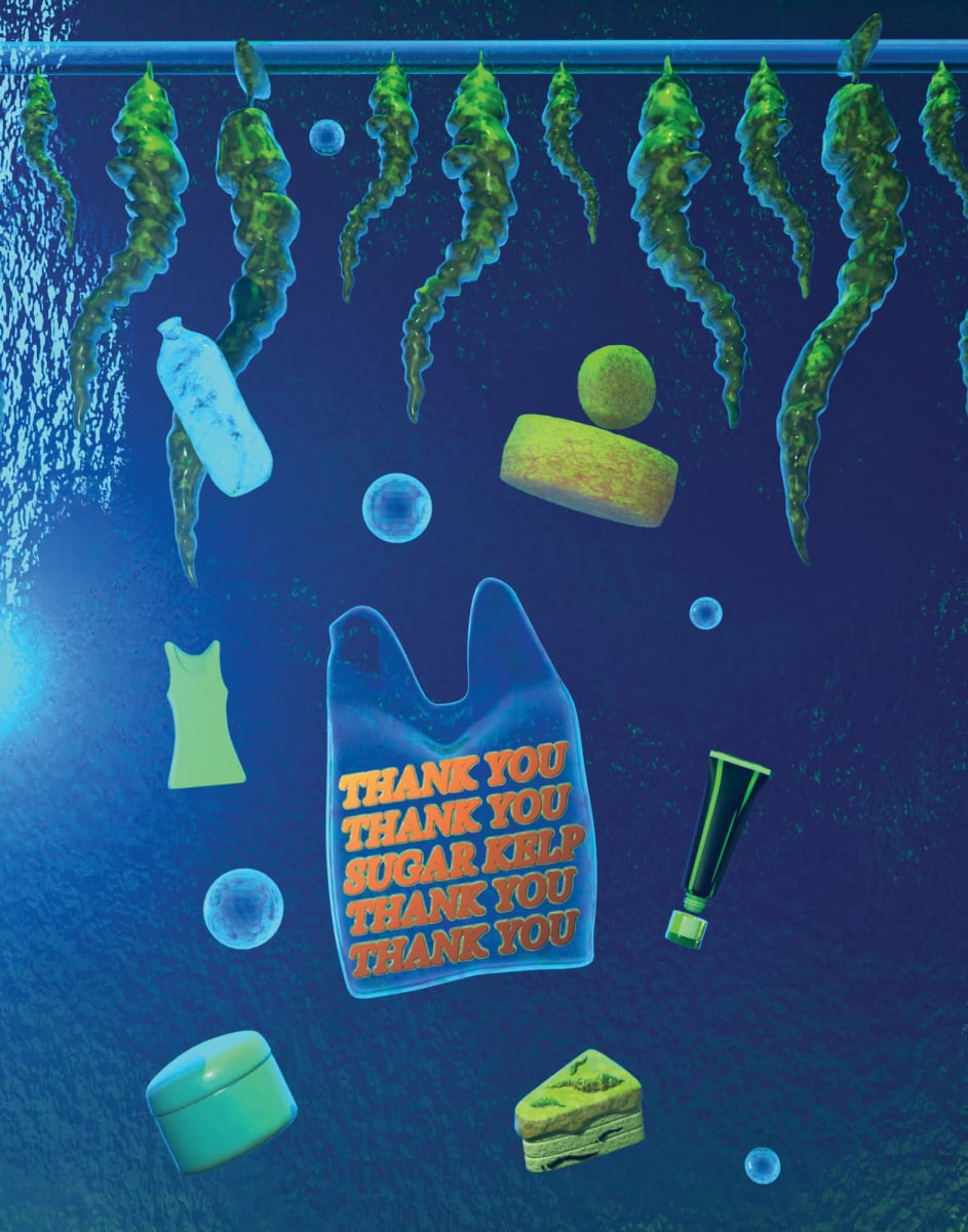 UN Ocean Project
