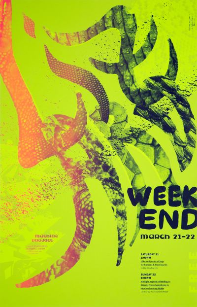 CalArts poster: Lizard Weekend by Henrique Eira Jessica Lee 