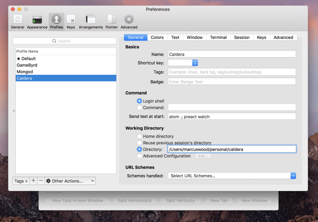 edit iterm profiles