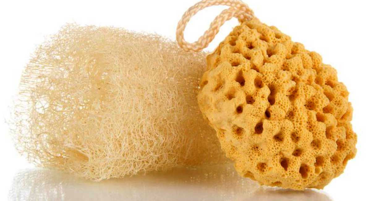 Ditch Your Loofah