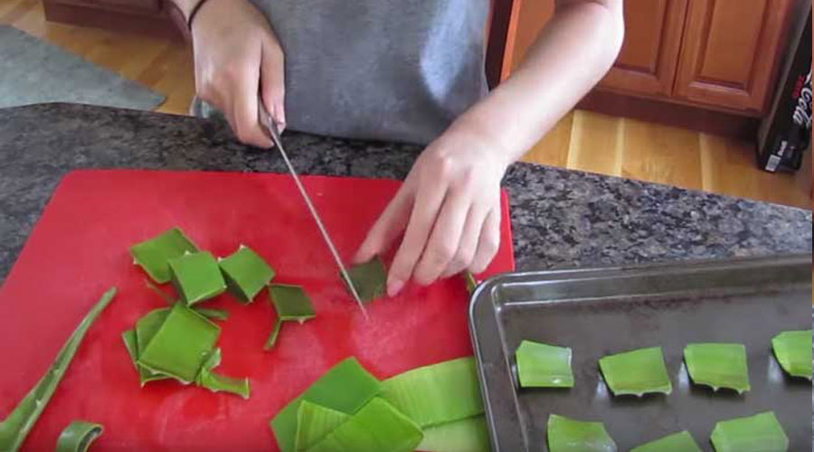 How to Use Aloe Vera for Dark Spots