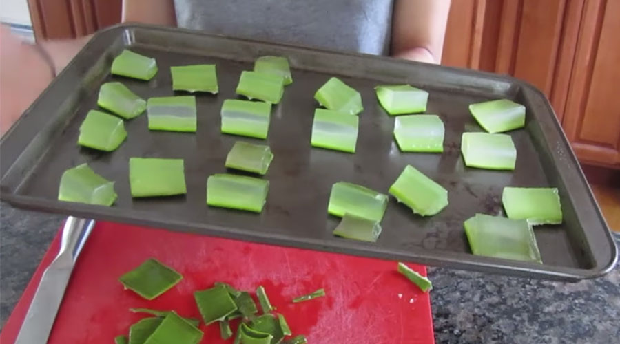 How To Use Aloe Vera Cubes For Pimples, Dark Spots, And Acne Scars