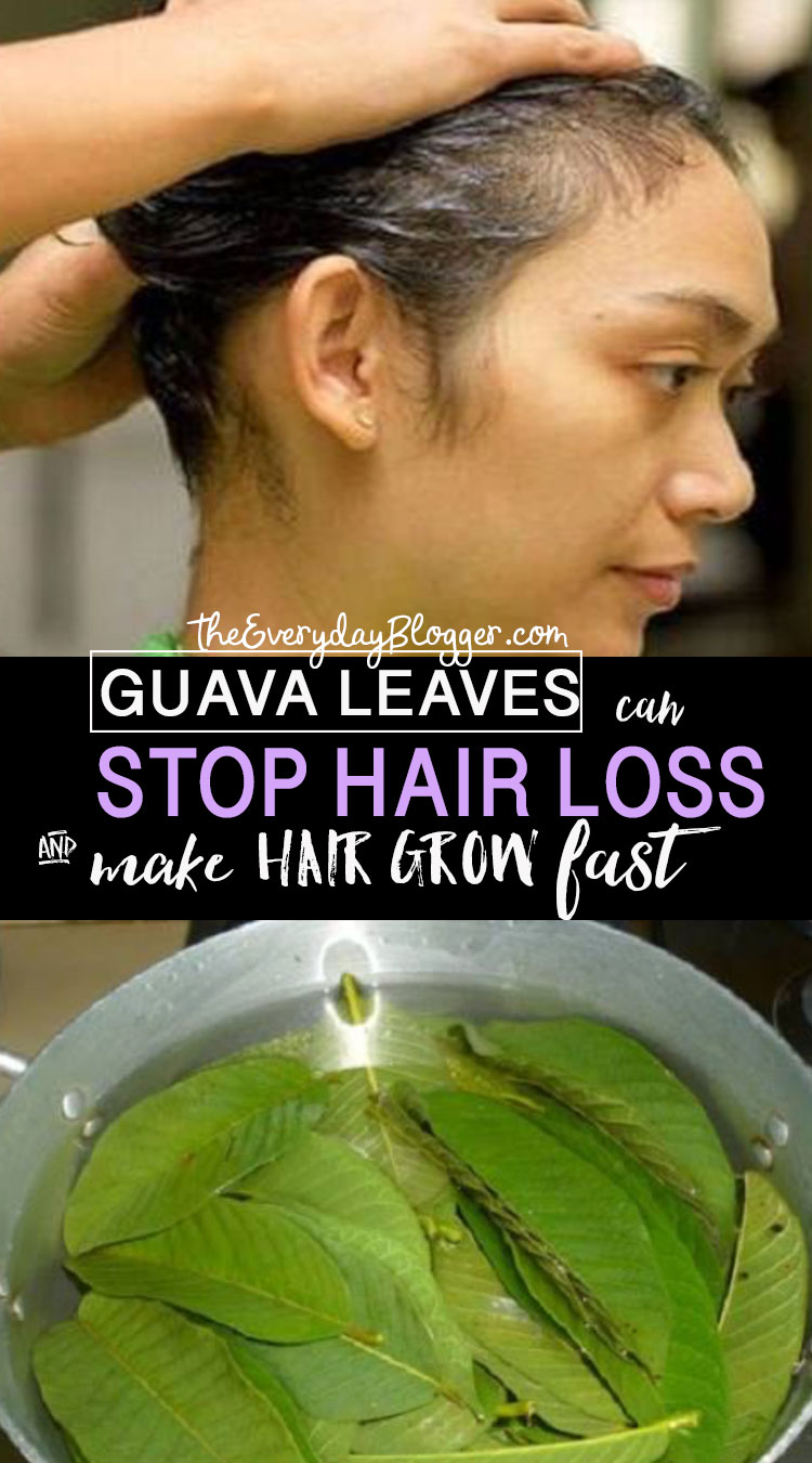 Guava Leaves for Hair Loss