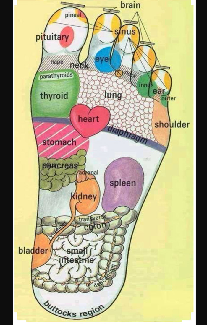 Reflexology Foot Massage