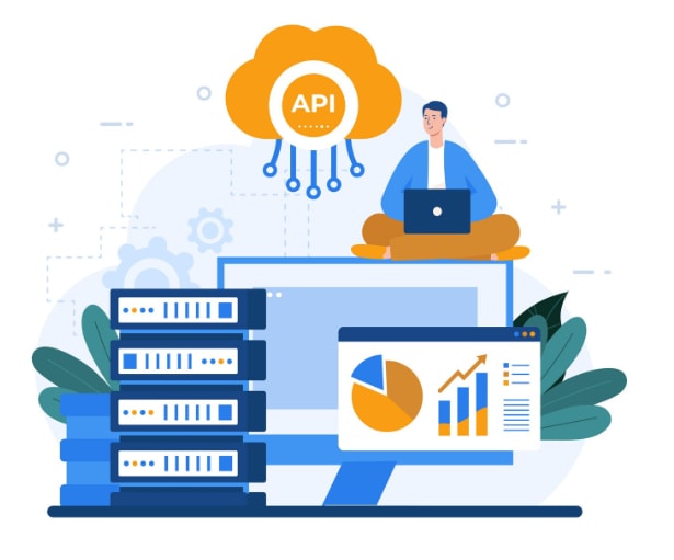 Reporting API