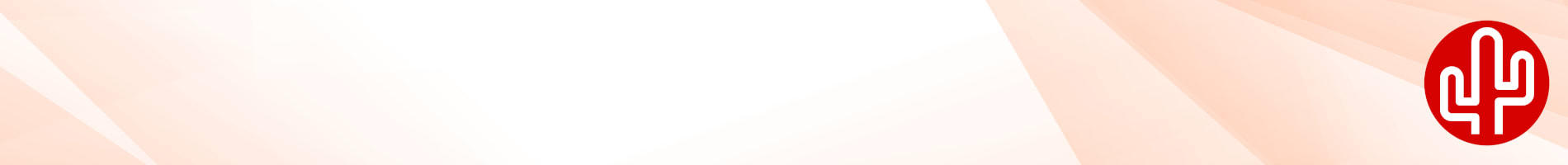 Callvoip's partners: Red Cactus