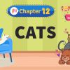 Cats – Raindrops Chapter 12 – NCERT English Class 1