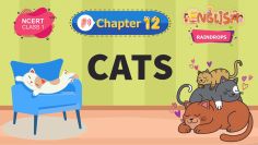 Cats – Raindrops Chapter 12 – NCERT English Class 1