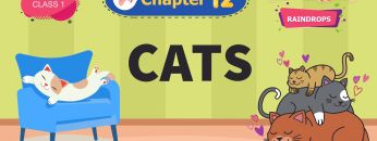 Cats – Raindrops Chapter 12 – NCERT English Class 1