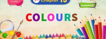 Colours – Raindrops Chapter 13 – NCERT English Class 1