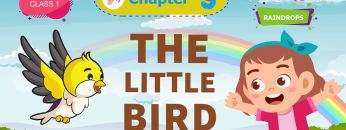 the Little Bird – Raindrops Chapter 3 – NCERT English Class 1