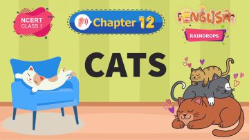 Cats – Raindrops Chapter 12 – NCERT English Class 1