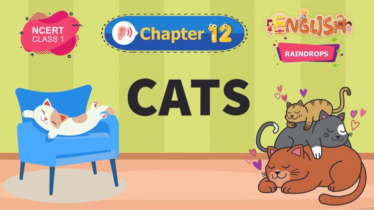 Cats – Raindrops Chapter 12 – NCERT English Class 1