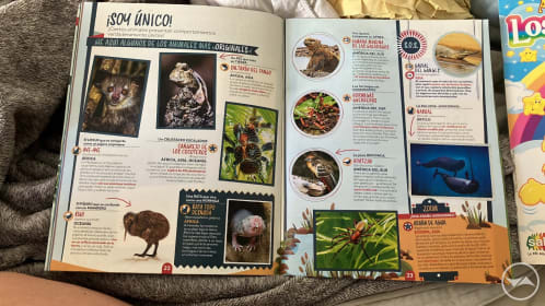 Colección Mundo Animales Record Bestial 25 Sobres Sellados De