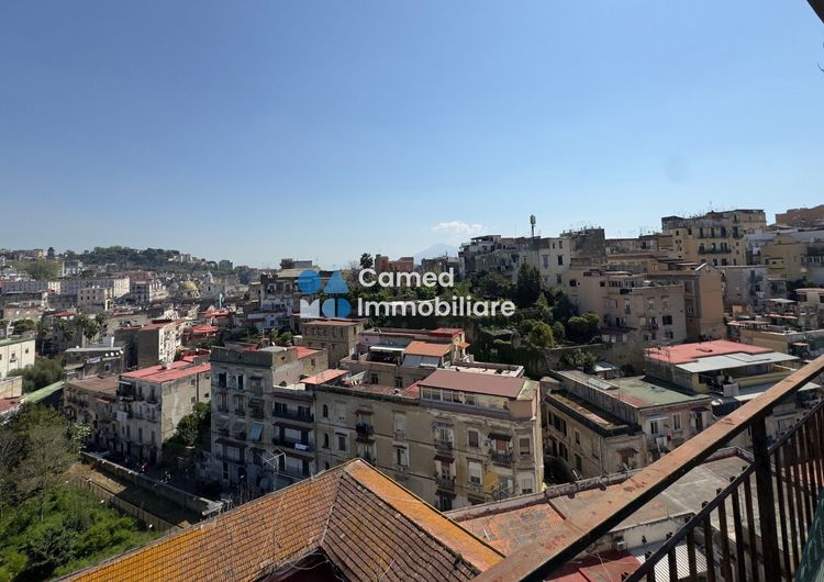 Immagine principale
