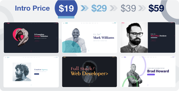 Mou - Creative Portfolio & Agency WordPress Theme - Intro Price