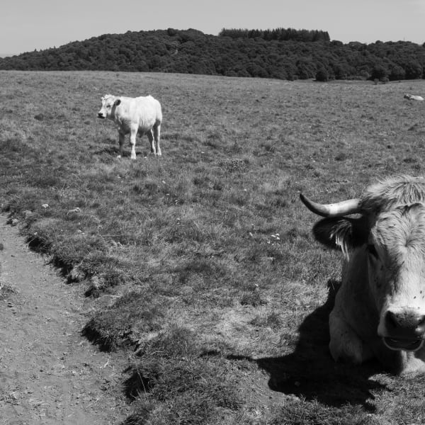 L'Auvergne, France