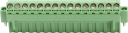 31677 image 2