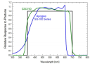 CS310 image 6