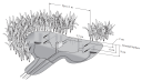 HFP01 image 2