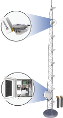 AP200 image 1