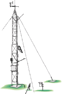 Automated