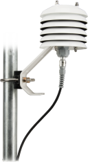 CS215-L image 4
