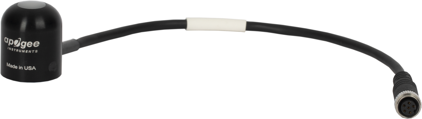 CS301