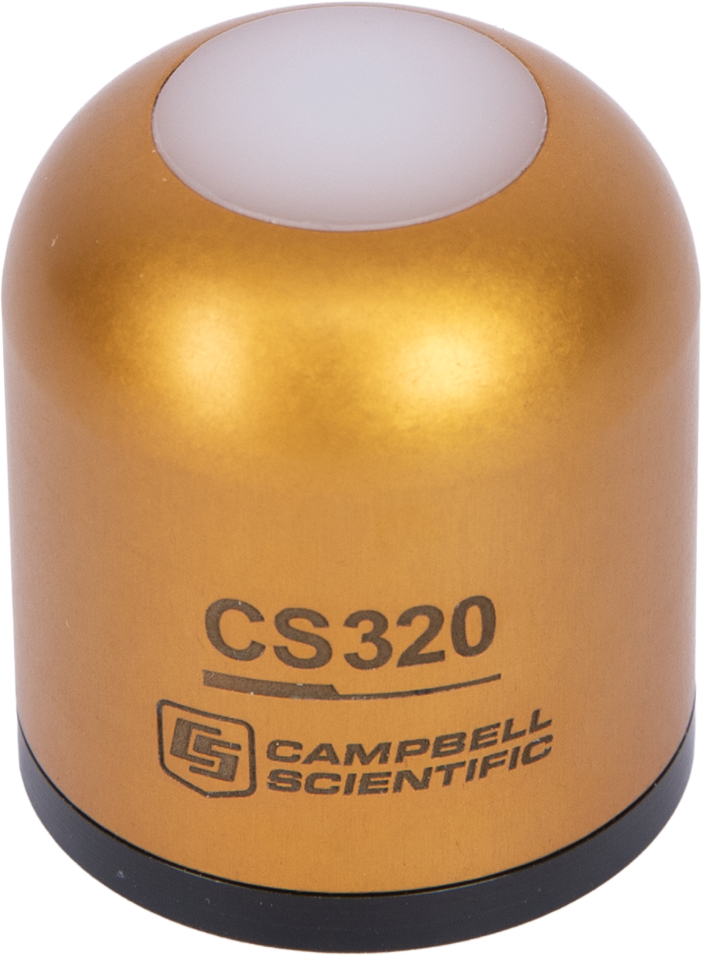 CS320