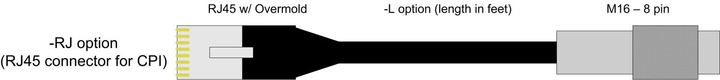 CSAT3BCBL3