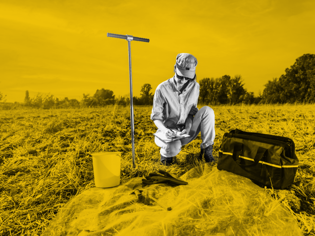 Soil