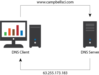 DNS client and server