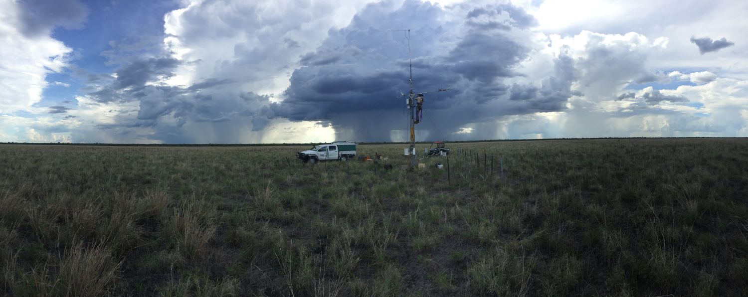 Matthew Northwood Sturt Plains Flux