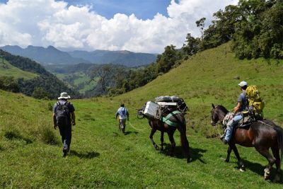 Horses carry equipment to deployment site