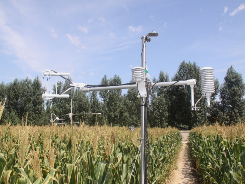 Fully-corrected fluxes are calculated using EasyFlux-DL over a field of maize in northeast China.