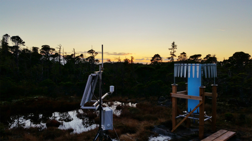 bog-station-silhoutette-bc