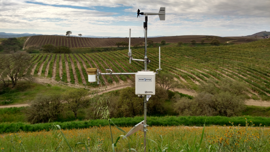 Weather station in vineyard