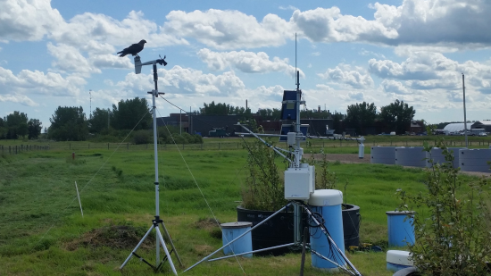 bird-on-weather-station