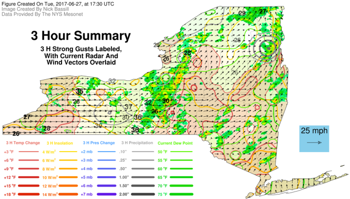 3 Hour Summary map