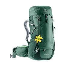 Futura Pro 34 SL Women's Backpack - Seagreen/Forest