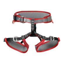 Tomcat Kids' Harness - Red/Grey