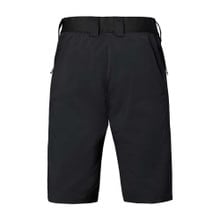 Flylow Men's Goodson Short - Back