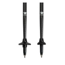Mountainsmith Andesite Trekking Poles - Carbide Tips