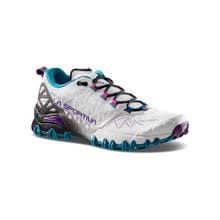 Bushido II GTX Women’s - Light Grey/Blueberry - Angle