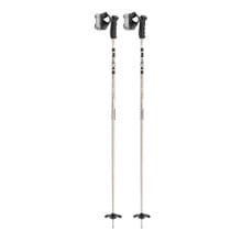 Leki Detect S Ski Poles | Campman