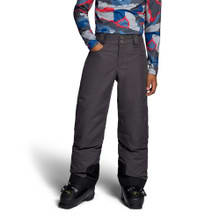 Obermeyer Brisk Pant - Basalt back
