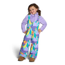 Obermeyer Snoverall Print Ski Bib Pant - Front