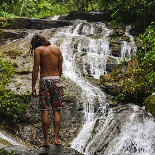 Cloud Forest Print: Sherbert