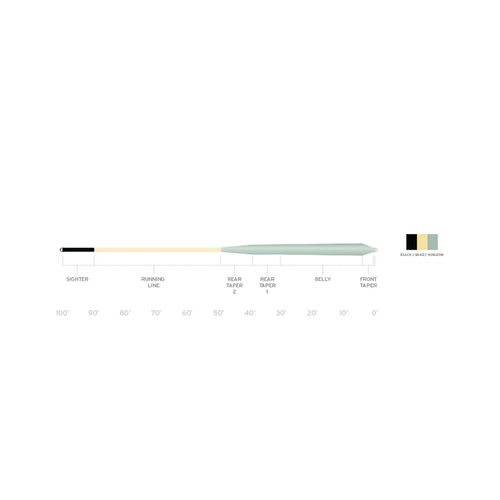 Scientific Anglers Amplitude Smooth Infinity Salt Fly Line - Diagram